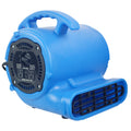 Blotek 1/4 HP Commercial Air Mover Floor Dryer | 900 CFM High Velocity Carpet Dryer Fan | 3-Speed Industrial Blower with 4 Drying Positions & 10 ft Power Cord