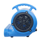 Blotek 1/4 HP Commercial Air Mover Floor Dryer | 900 CFM High Velocity Carpet Dryer Fan | 3-Speed Industrial Blower with 4 Drying Positions & 10 ft Power Cord
