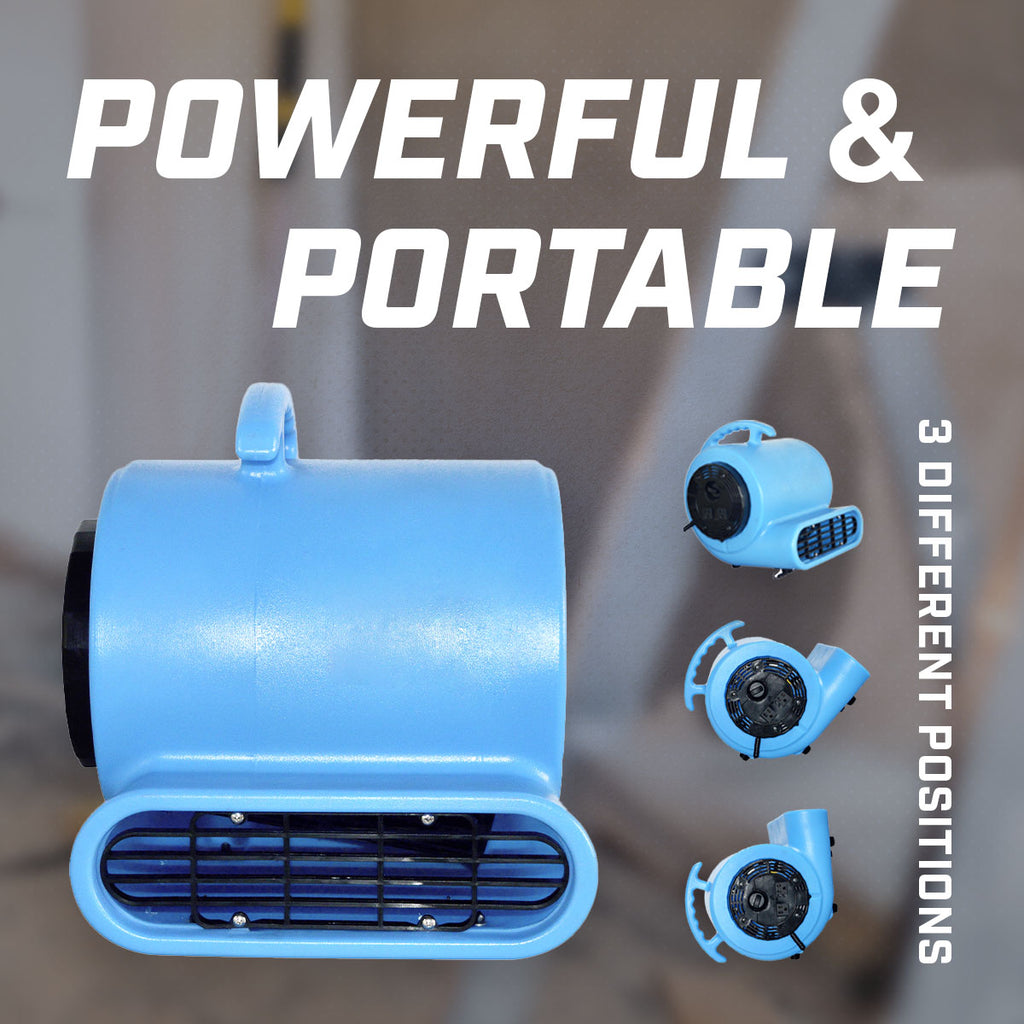 Blotek 1/4 HP Commercial Air Mover Floor Dryer | 900 CFM High Velocity Carpet Dryer Fan | 3-Speed Industrial Blower with 4 Drying Positions & 10 ft Power Cord