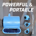 Blotek 1/4 HP Commercial Air Mover Floor Dryer | 900 CFM High Velocity Carpet Dryer Fan | 3-Speed Industrial Blower with 4 Drying Positions & 10 ft Power Cord
