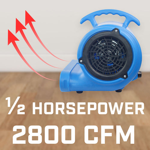 Blotek 1/2 HP Commercial Air Mover Floor Dryer | 2800 CFM Industrial Carpet Dryer Fan | 3-Speed High Velocity Blower with 4 Drying Positions & 15 ft Cord