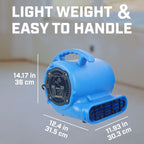 Blotek 1/2 HP Commercial Air Mover Floor Dryer | 2800 CFM Industrial Carpet Dryer Fan | 3-Speed High Velocity Blower with 4 Drying Positions & 15 ft Cord
